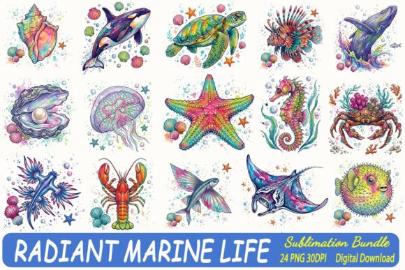 Download Radiant Marine Life Summer Sublimation - Sublimation Collection
